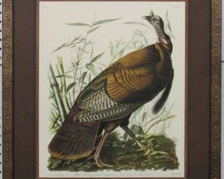 9008 - WILD TURKEY BY JOHN J AUDUBON 23.5 X 27
