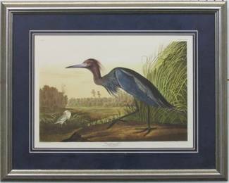 9004 - BLUE HERON BY JOHN J AUDUBON 27.5 X 22