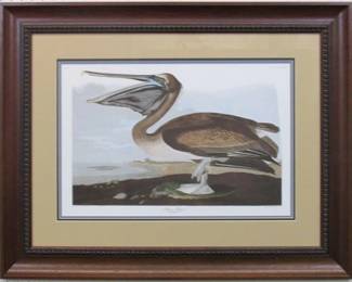 9009 - BROWN PELICAN BY JOHN J AUDUBON 32.5 X 25.5