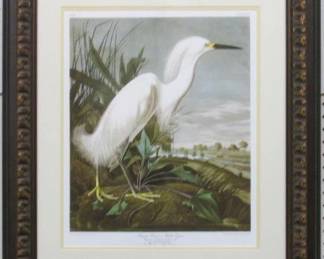 9010 - SNOWY HERON BY JOHN J AUDUBON 25 X 29.5