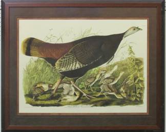 9066 - GREAT AMERICAN HEN AND YOUNG BY JOHN J AUDUBON 29 X 37