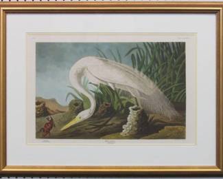 9003 - WHITE HERON BY JOHN J AUDUBON 29.5 X 22.5