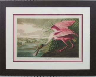 9001 - SPOONBILL BY JOHN J AUDUBON 30 X 23.5