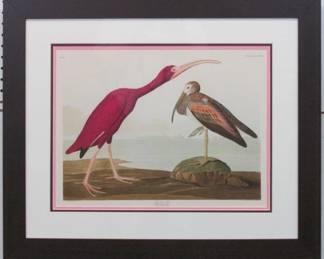9002 - SCARLET IBIS BY JOHN J AUDUBON 28 X 23.5