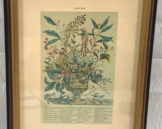2034 - Framed "January" from Twelve Months of Flowers by Robert Furber 11 x 14