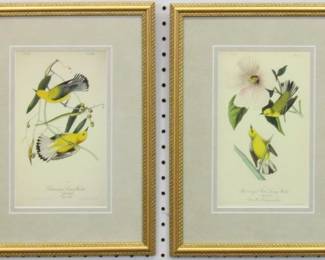 9036 - SET OF 2 ANTIQUE BIRDS BY JOHN J AUDUBON 12 X 16.5