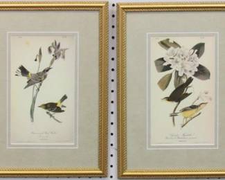9035 - SET OF 2 ANTIQUE BIRDS BY JOHN J AUDUBON 12 X 16.5