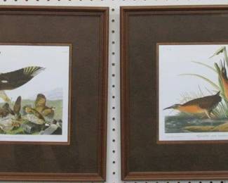9117 - VIRGINIA RAIL/ VIRGINIA PARTRIDGE GICLEE BY JOHN J AUDUBON - 20 X 16