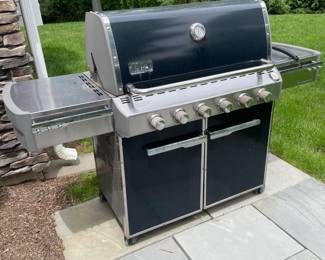 Weber Summit Grill