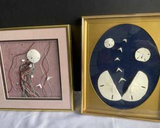 Sand Dollar Framed Wall Hangings