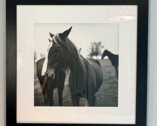 Sean Gilligan framed artwork