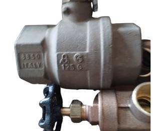 Plumbing LOT:Watts Backflow Preventer & Gate Valves