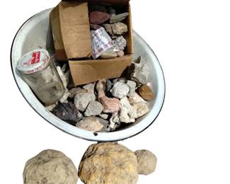 Collectibles Rock LOT Minerals Coral See Photos