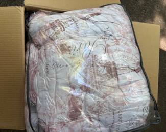 Paris theme comforter and shams.