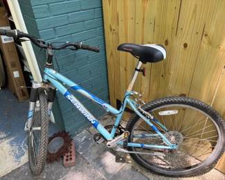 Schwinn bike.