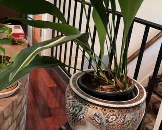 Large Fishbowl Pot with Base A Tall Plant