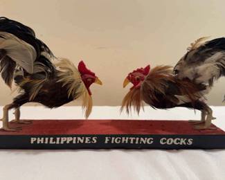 Philippines Fighting Cocks