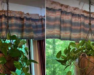 Two Knotted Cord Plant Hangers with Plants