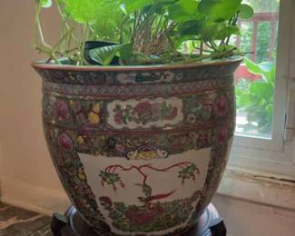 Large Chinese Fishbowl Pot Base with Houseplants