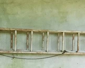 17 ft Extendable Ladder