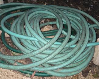 Hose