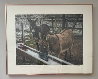FRAMED PHOTOGRAPHY BY TRACEY WEGENHOFT