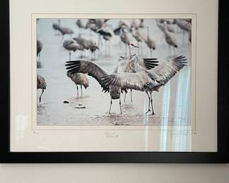 SIGNED, NUMBERED PHOTOGRAPHY 1/175 BY CHARLES KAHN, PELICANS PHOTOGRAPHY BY POTHIER