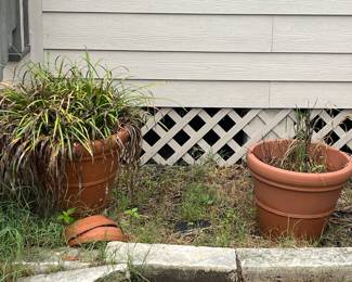 CLAY POTS