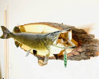 Northern Pike Taxidermy Mount