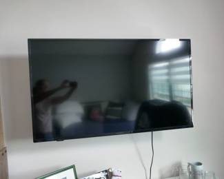 TV INSIGNIA 51"
