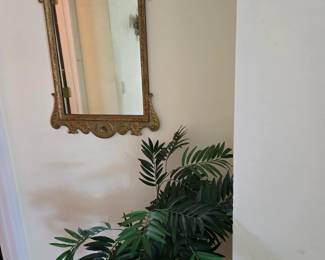 Silk Plant & Ornate Mirror
