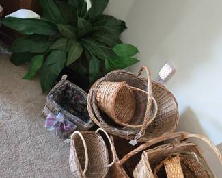 Baskets & Silk Plant