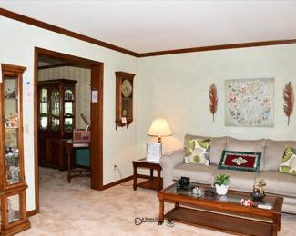 290Living Room