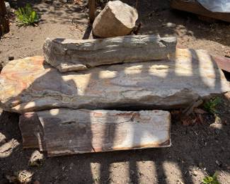 Petrified wood