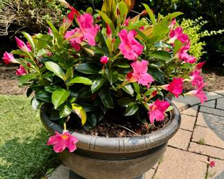 Planter