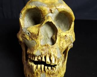 Gary J. Sawyer composite skull
