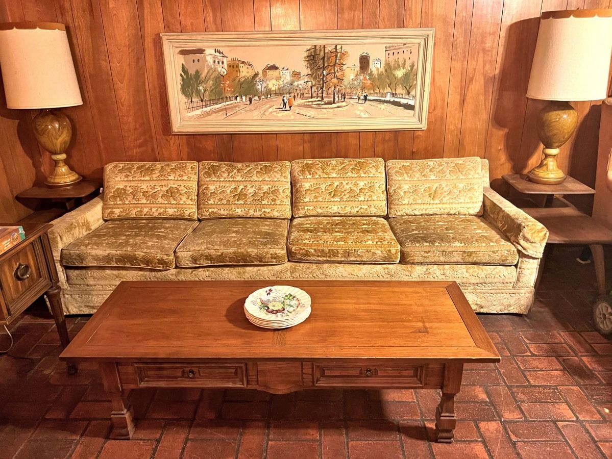 Mid Century Modern living room furniture