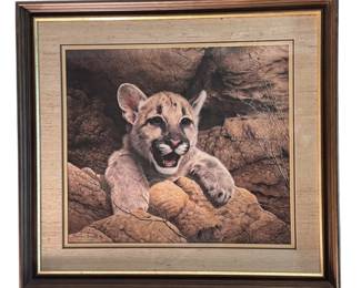 Charles Frace Signed Framed Print Cougar
