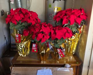 Christmas decorations and holiday decor