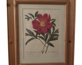 1 in Series of 13 Custom Framed Floral Prints