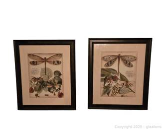 Pair of Whimsical Dragonflies Framed Prints
