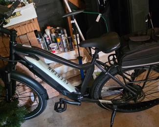 e bike