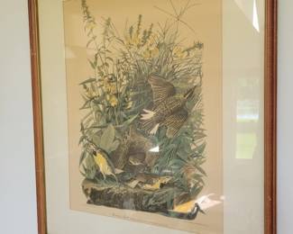 John James Audubon, Meadow Lark.