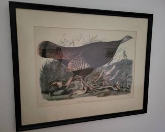 John James Audubon Wild Turkey Framed.