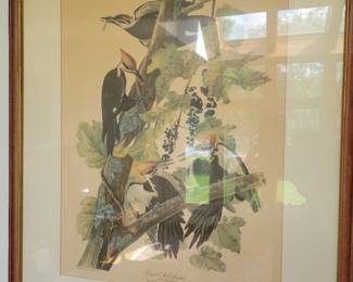 John James Audubon By Robert Havell, Pileated Woodpecker Birds of America.