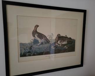 John James Audubon Willow Grouse Framed.