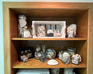 Sand Dollars, Shells, Crates
