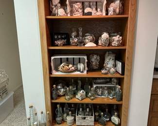 Sea Shells/Sand Collections