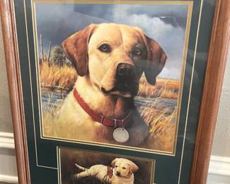 Take these pictures of your dog!