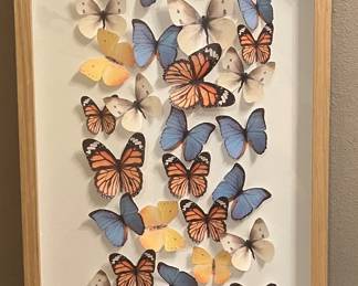 New butterfly framed art